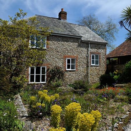 Trill Cottage Musbury Dış mekan fotoğraf