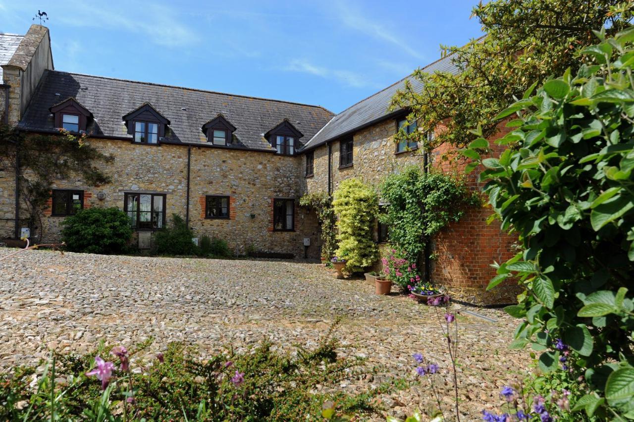 Trill Cottage Musbury Dış mekan fotoğraf