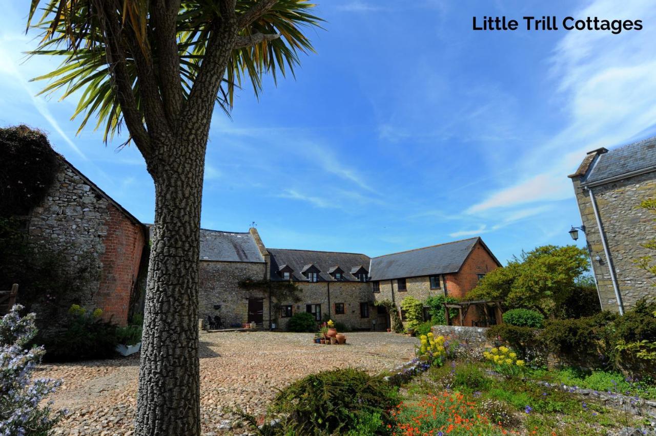 Trill Cottage Musbury Dış mekan fotoğraf