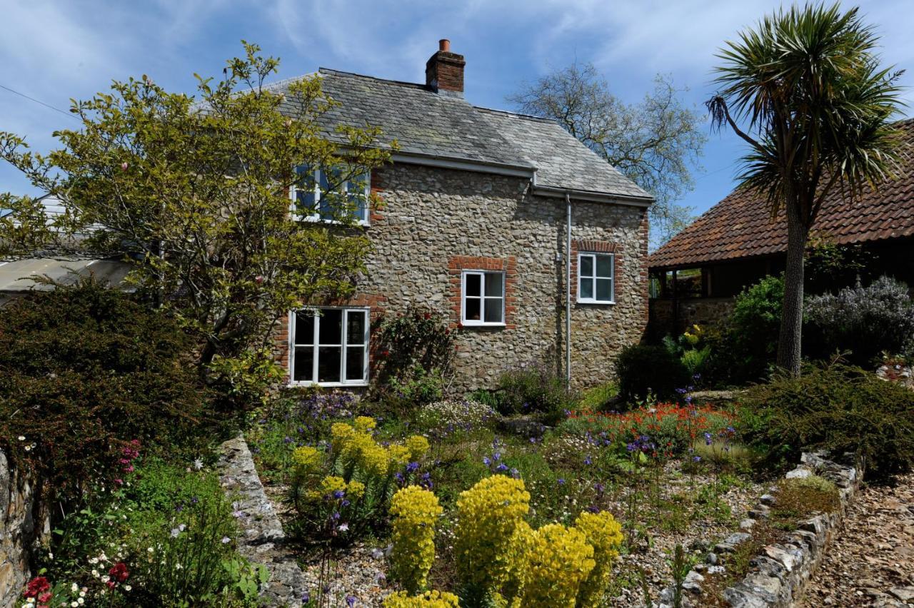 Trill Cottage Musbury Dış mekan fotoğraf